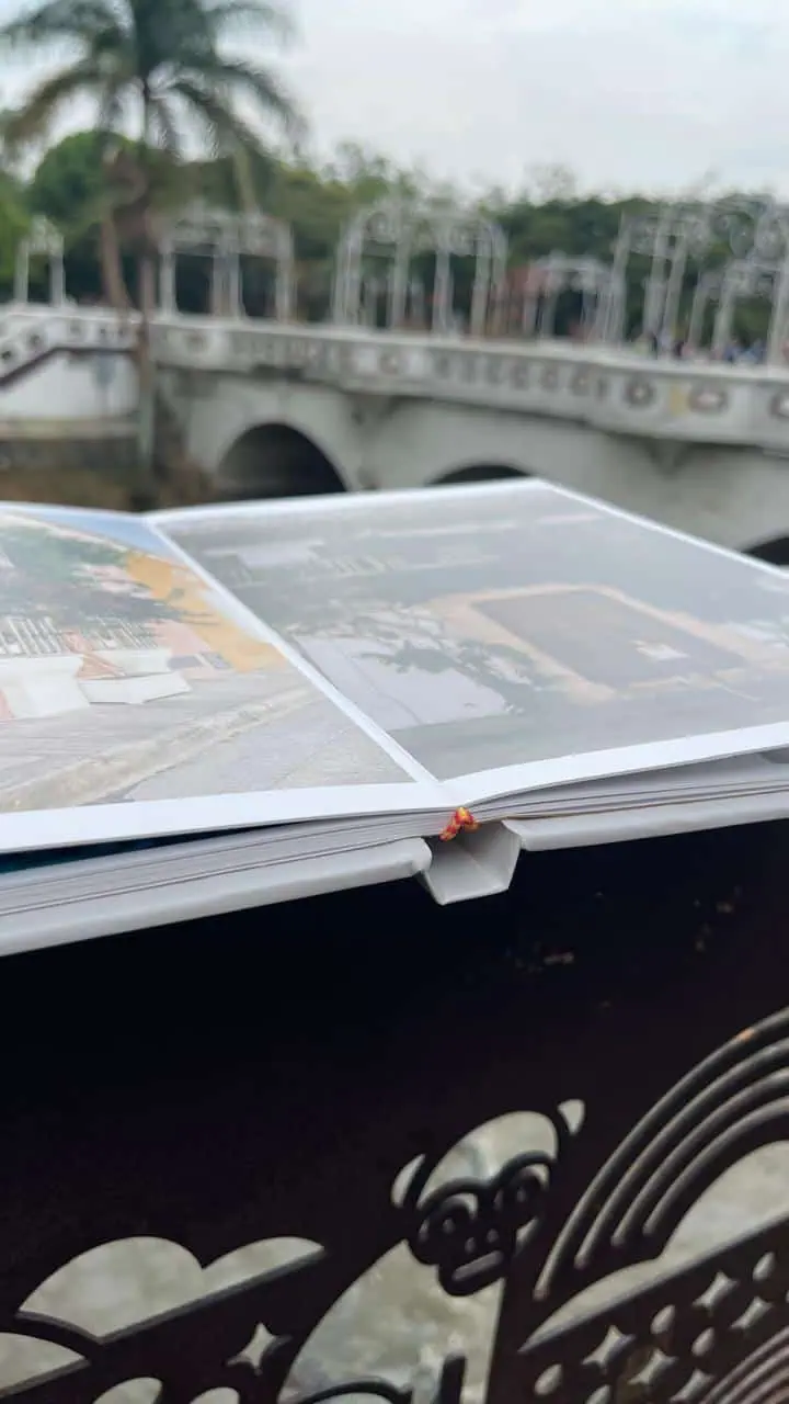 Guía de viajes mostrando un libro de fotos junto a un puente y palmeras.