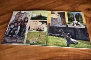 Animales del zoológico, jirafa, elefante, canguro, girafa y vaca tocando en un parque natural.