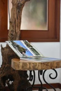 1. Árbol decorativo con mesa de madera y catálogo de viajes en interior acogedor.