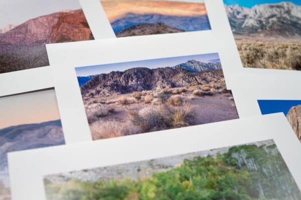 Paisajes desérticos con montañas y flora, perfectos para fotografía y viajes en Instagram.